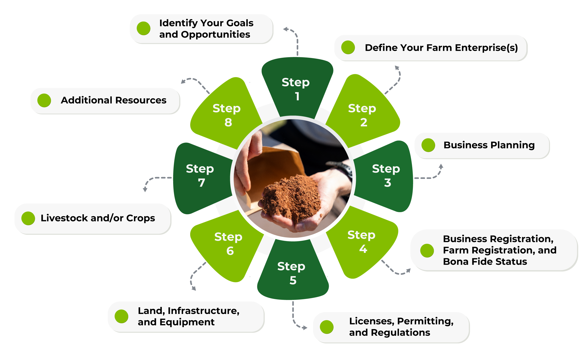 Inforgraphics with the first steps