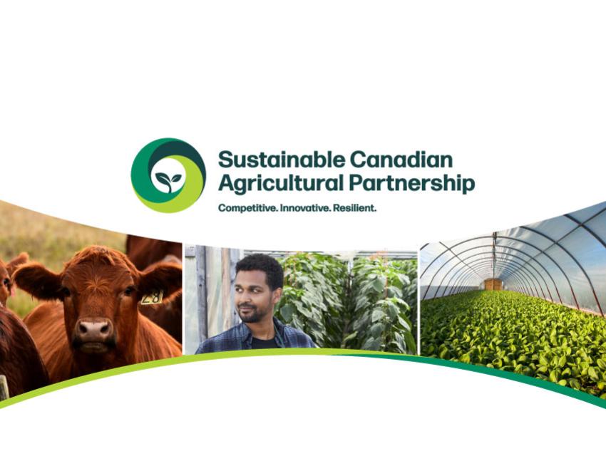 SCAP banner image