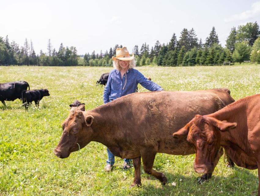 A person wearing a cowboy hat and blue shirt stands in a grassy field, resting a hand on a brown cow, with other cows grazing in the background and trees lining the horizon.